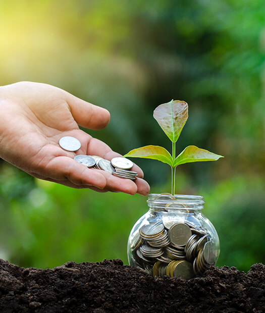 nathani-investment-about